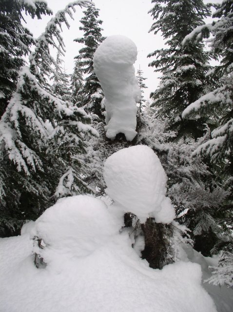 Ghost Ridge-Twin Lakes 022 